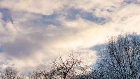Time lapse of blue sky with fast moving clouds and trees in foreground Stock Footage 147881787