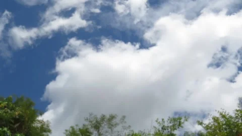 Time lapse of a blue sky with white clouds moving over tropical vegetation Stock Footage 323239733