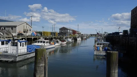 Time-lapse of boats docking in the harbor Stock Footage 115502250