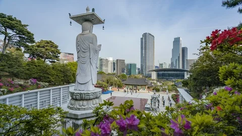 Time lapse of bongeunsa temple in spring, Seoul South Korea. Stock Footage 125929893