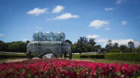 Time-Lapse of Botanical Gardens Stock Footage 12413338