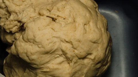 Time lapse of a bread machine while the dough rises Stock Footage 99980524
