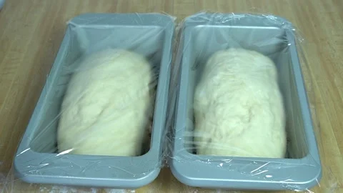 Time-lapse of bread rising in baking pans 스톡 동영상 272725647