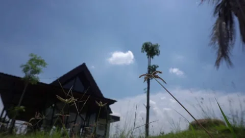 Time lapse bright clouds sky above one single house 스톡 동영상 231256393