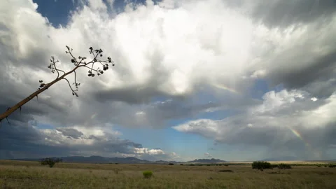 Time lapse of a bright colorful rainbow over an open prairie Video stock 247207635