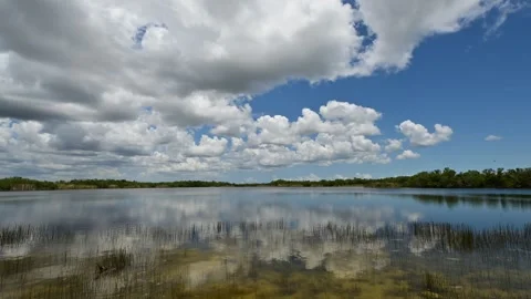 Time lapse of bright summer cloudscape over Nine Mile Pond in Everglades 4K Stock Footage 242557927