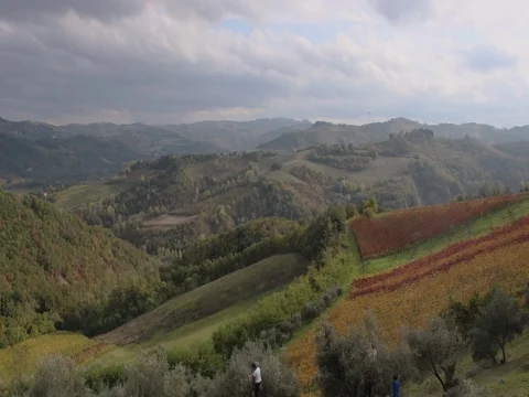 Time lapse Brisighella 動画素材 82566899
