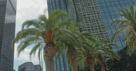 Time lapse buildings and palm trees in Downtown Los Angeles 4K Stock Footage
