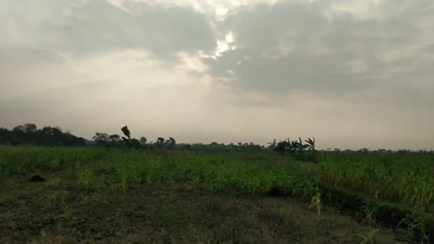 Time lapse of bursting sunlight Video stock 205016748