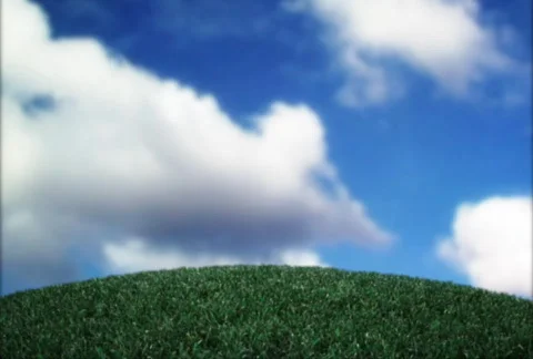 Time Lapse Bush Animation Видео 290842