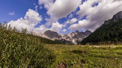 Time-lapse from bush, out to mountains. Clouds roll overhead. Stock Footage 68314904