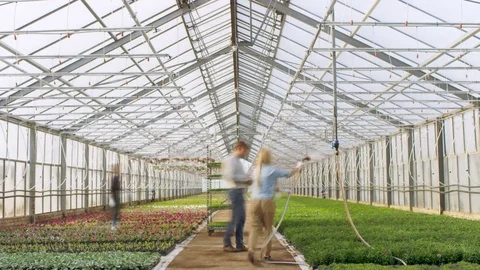 Time-Lapse of Busy Industrial Greenhouse Where Gardener and Farmers Work  Stock Footage