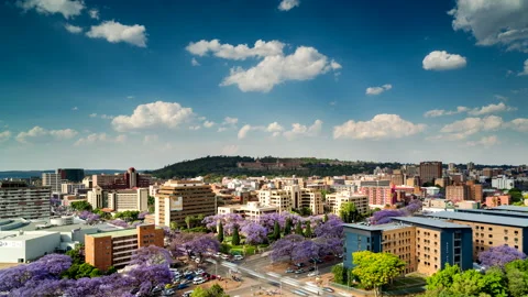 Time lapse of a busy intersection on streets with jacaranda trees in Pretoria Stock-Footage 163076309