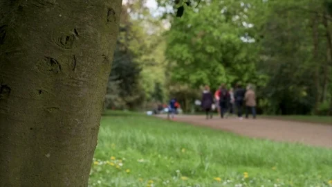 Time Lapse of Busy Park in Spring Stock Footage 89270443