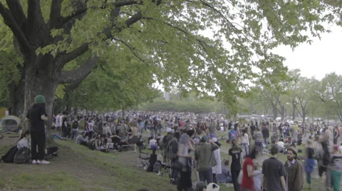 TIme Lapse of busy park on summer's day WS pan Stock Footage 50824081