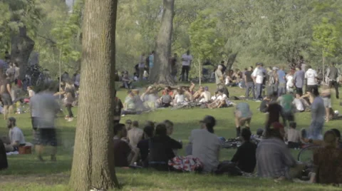 TIme Lapse of busy park on summers day zoom out Stock Footage 50831934