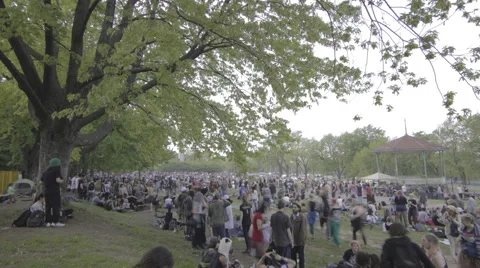 TIme Lapse of busy park WS slow pan Stock Footage 50818274
