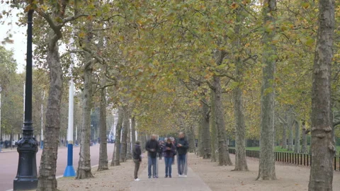 Time lapse. A busy pathway in autumn. Stock Footage 119367116