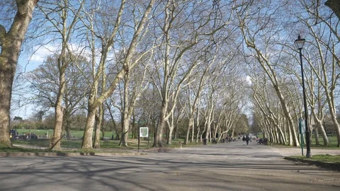Time lapse. A busy pathway in a park. Stock Footage 105351183