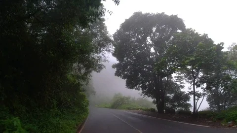 Time lapse of of car drive through a forest 動画素材 118581278