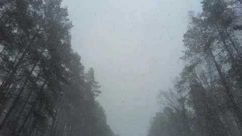 Time-lapse car movement through the forest in snowfall Stock Footage 151170670