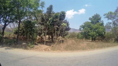 Time lapse from car side view of Madagascar road 動画素材 89664297