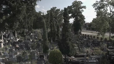 Time lapse of a cemetery on a clear day Video stock 158489129