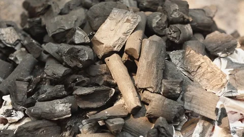TIME LAPSE CHARCOAL BURNING Stock Footage 306688463