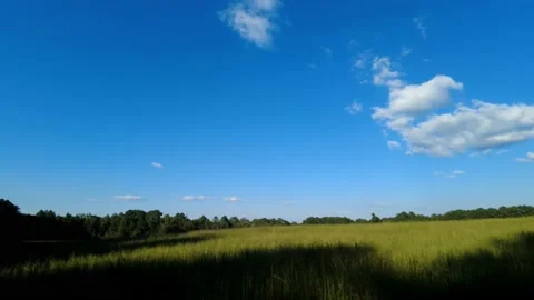 Time lapse at Chickamauga Stock Footage 218058660