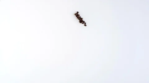 Time lapse of christmas tree made from roasted coffee beans Stock Footage 120599173
