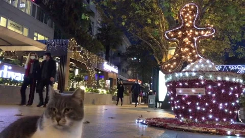 Time-lapse christmas video Stock Footage 144394048