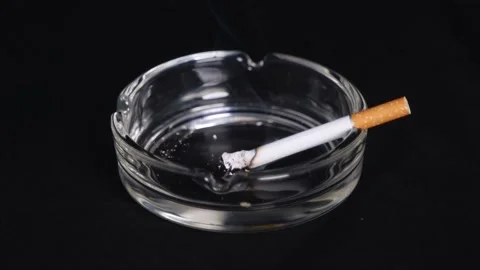 Time-lapse of a cigarette burning in an ashtray Stock Footage 150068276