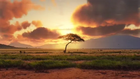 Time lapse Cinemagraph of dramatic sunset over desert in africa Stock Footage 134292811