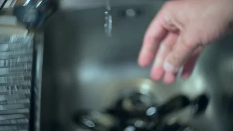 Time-lapse of cleaning mussels in the kitchen at home before cooking them. Stock Footage 232797992