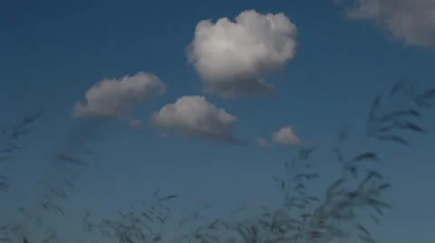 Time lapse clip of white fluffy clouds over blue sky Vídeo Stock 35521023