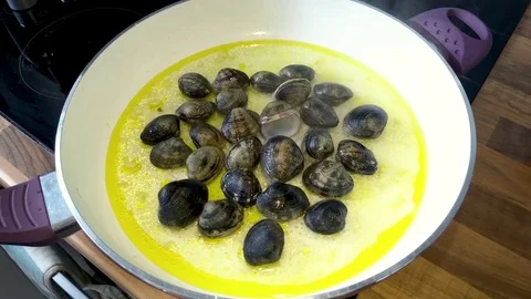 Time lapse. Close up of delicious clams opening their shells Stock Footage 81530754