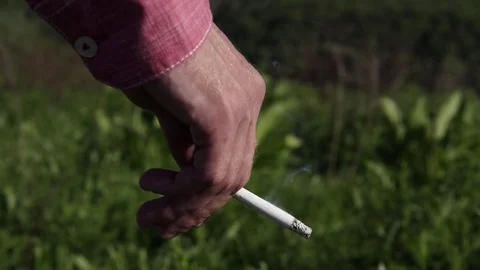 Time Lapse Close up of a human hand holding a smoking cigarette Stock Footage 75537209