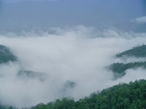 Time Lapse Close Up Mist Moving Over Green Mountain at Phu Chee Pha Mountain. Stock Footage 75782163