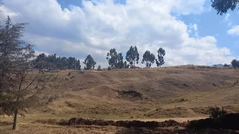 Time lapse of close tree with mountain and cloudy sky Stock Footage 293093491