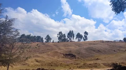 Time lapse of close tree with mountain and cloudy sky Stock Footage 293094632
