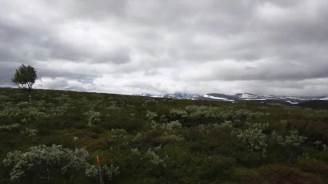 Time lapse with cloud and wind over kungslenden in Sweden Stock Footage 136531257