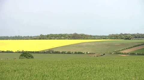 Time-lapse cloud shadows passing over a valley in the cotswolds. Seamless loop Stock Footage 4855211