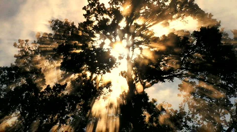 Time-lapse Cloud &amp; Sunlight Vídeos de archivo 629258