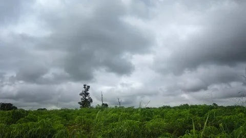 Time lapse clouds 4k Stock Footage 94993286