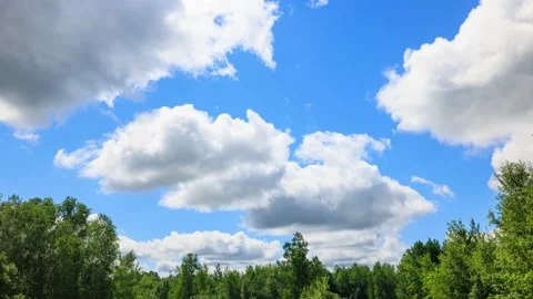 Time Lapse of the clouds above a forest 動画素材 220690681