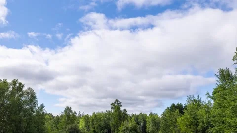 Time Lapse of the clouds above a forest Video stock 250651962