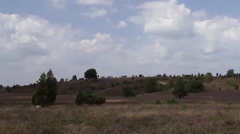 Time lapse of clouds above heathland Stock Footage 41380643