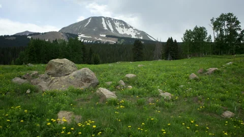 Time lapse of clouds above a meadow with wildflowers in snowy La Sal Mountains Stock Footage 151653255