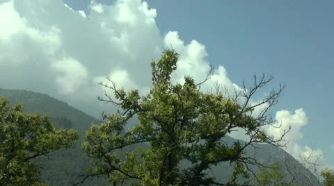 Time-Lapse of Clouds Above Mountains and Tree Branches 動画素材 39578905