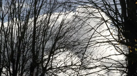 Time Lapse Clouds against Bare Silhouetted Trees Video stock 940268